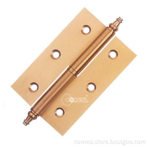 Hinge (CM 6004)